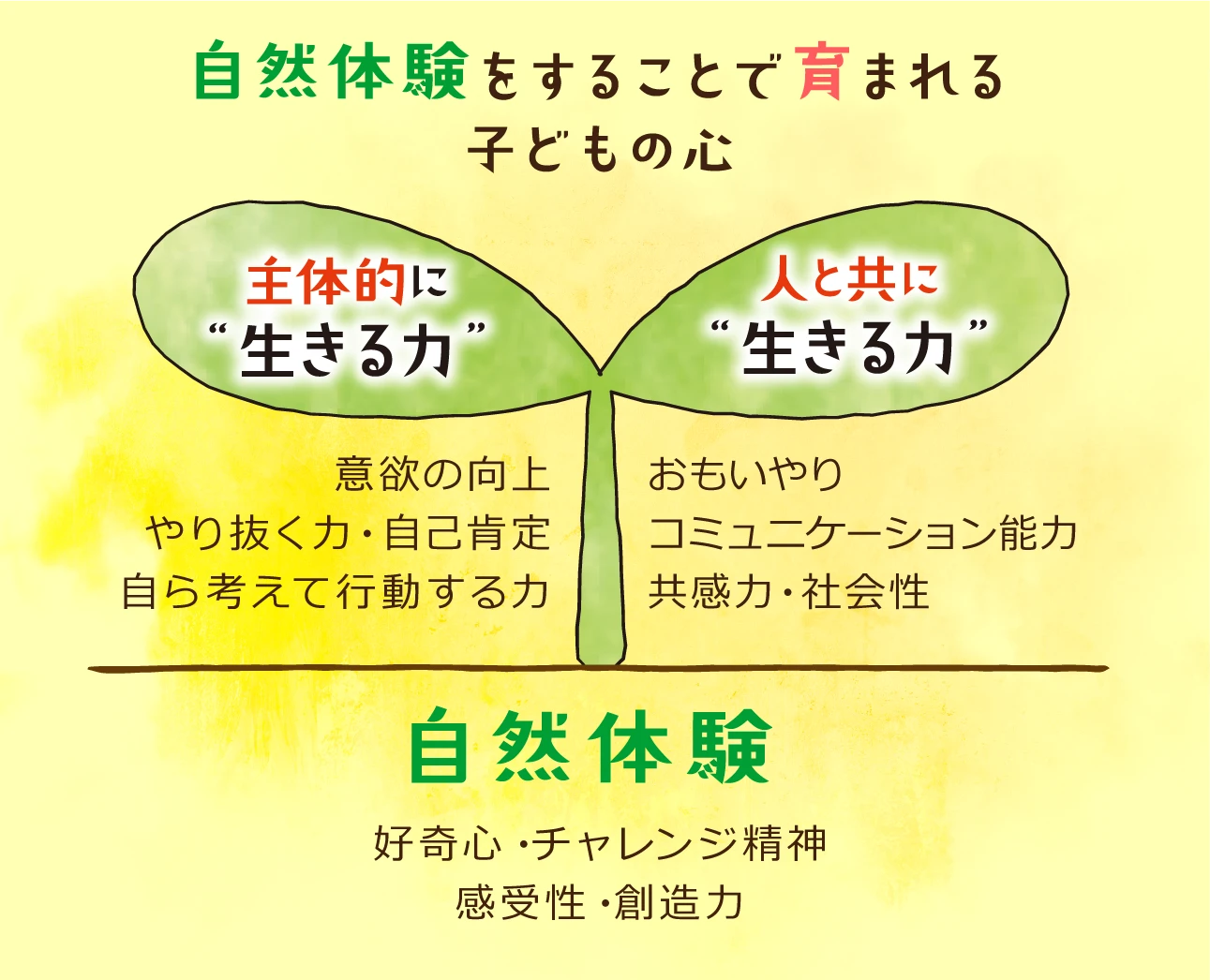 自然体験をすることで育まれる子どもの心