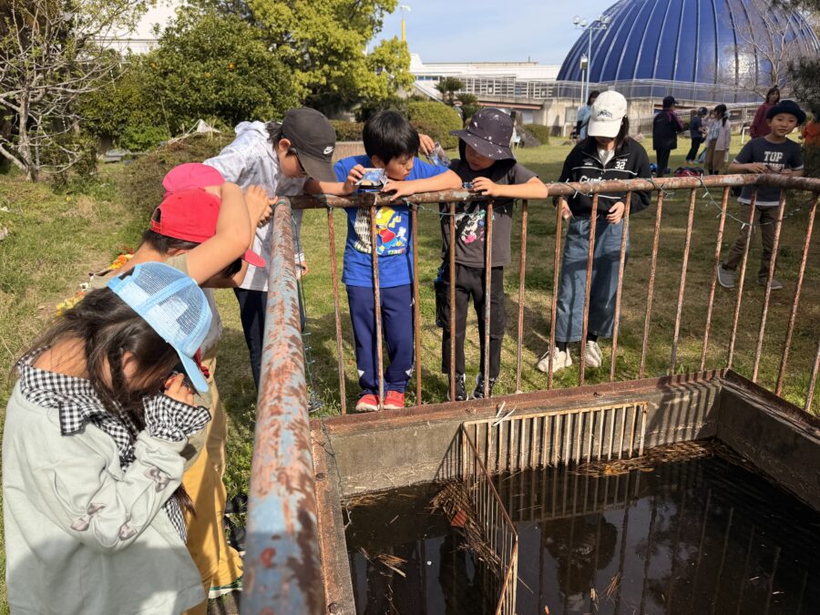 【京都・大津支部】2026年度前期《4月～9月》